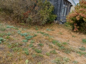 IMG-20241009-WA0034